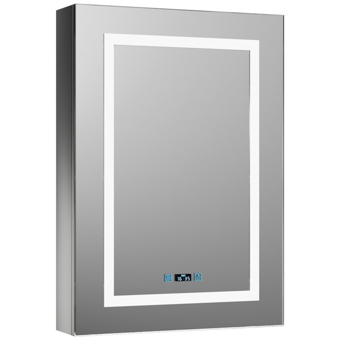 Ivy Bronx 19.68'' W 27.55'' H Surface Mount Frameless Medicine